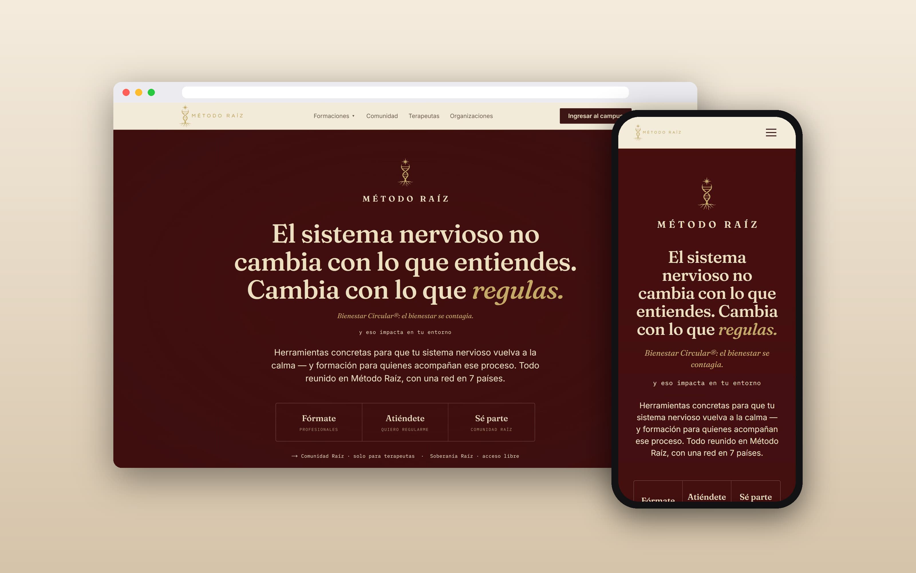 Captura de la página de inicio del sitio web de Método Raíz